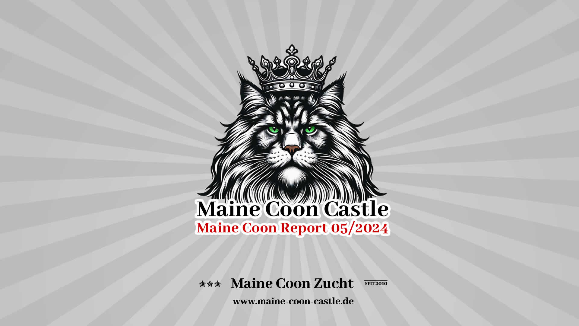 Maine Coon Report - Maine Coon Blog - Maine Coon News